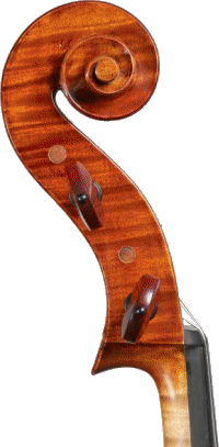 Riccio di violoncello di Montagnana 1739