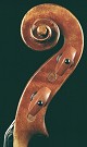 Riccio
