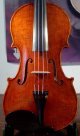 Violino modello Giuseppe Guarneri del Gesu