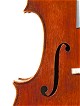 Violoncello